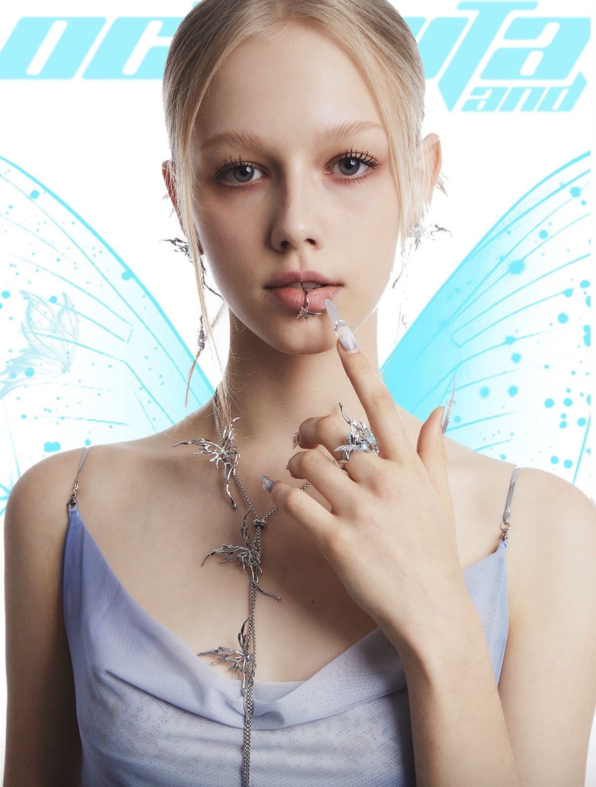 Ice Butterfly Collection